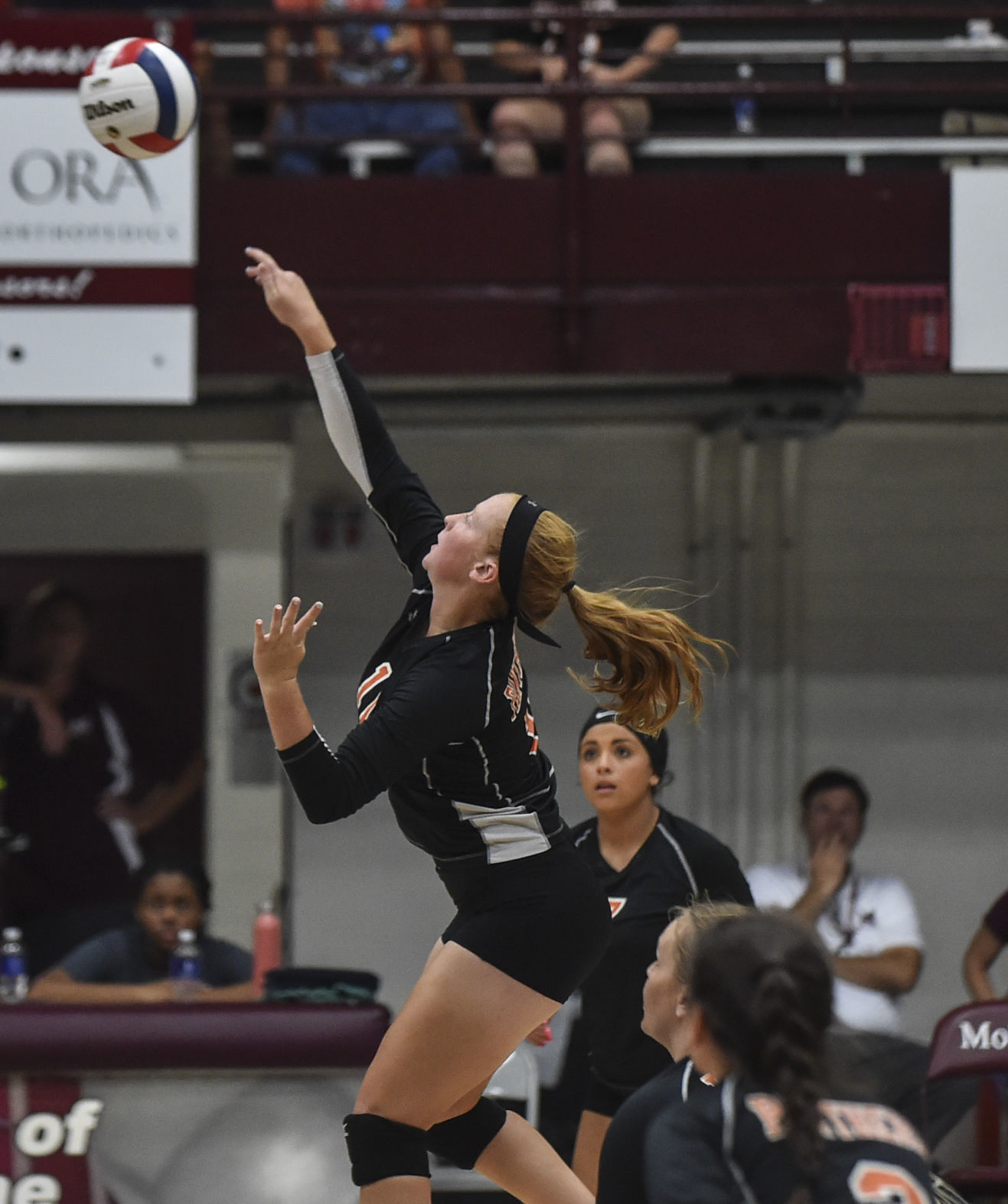 091318-ut-moline-vb-14a.jpg